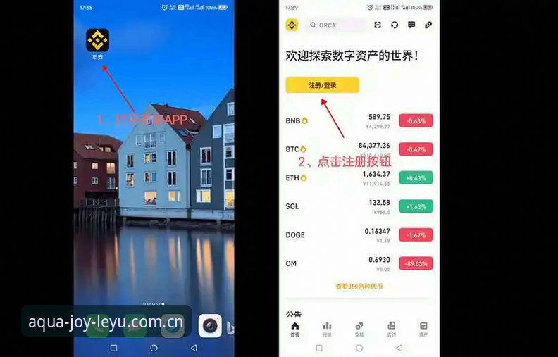 乐鱼体育平台下载实用指南：新手必备的安装与使用技巧