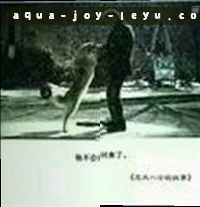 徐佳