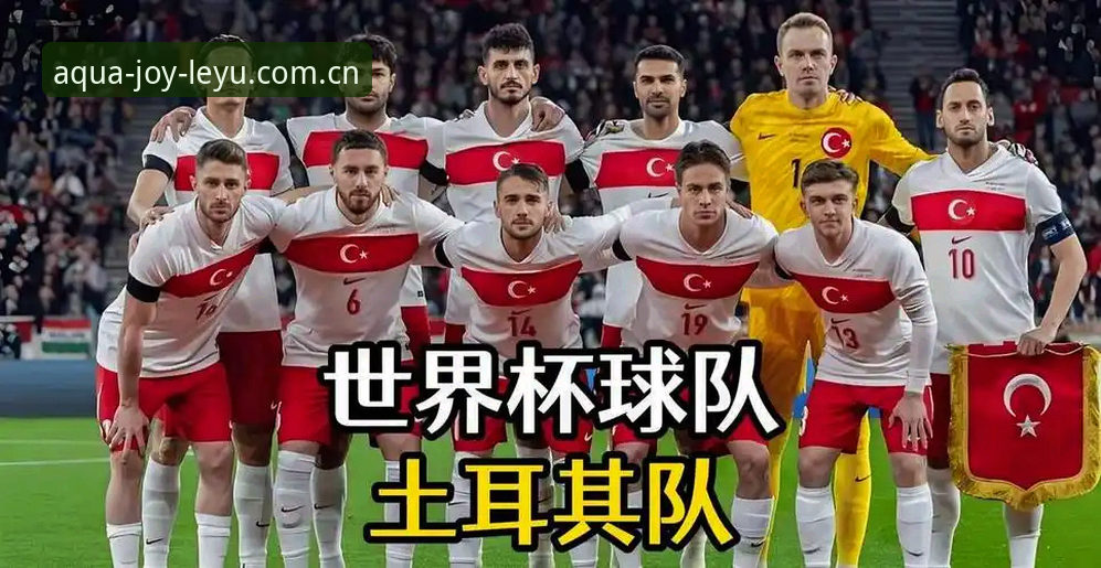 3大因素让世界杯观赛梦碎——从约旦土耳其球迷签证困境看赛事冷场背后的真相